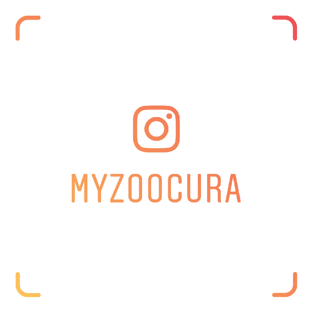 Follow US Instagram: myzoocura